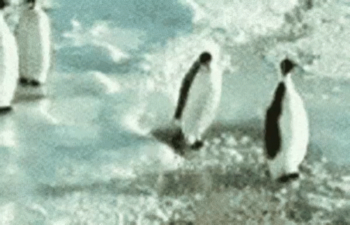 93827391-939b-404c-8982-02551505eb90.gif