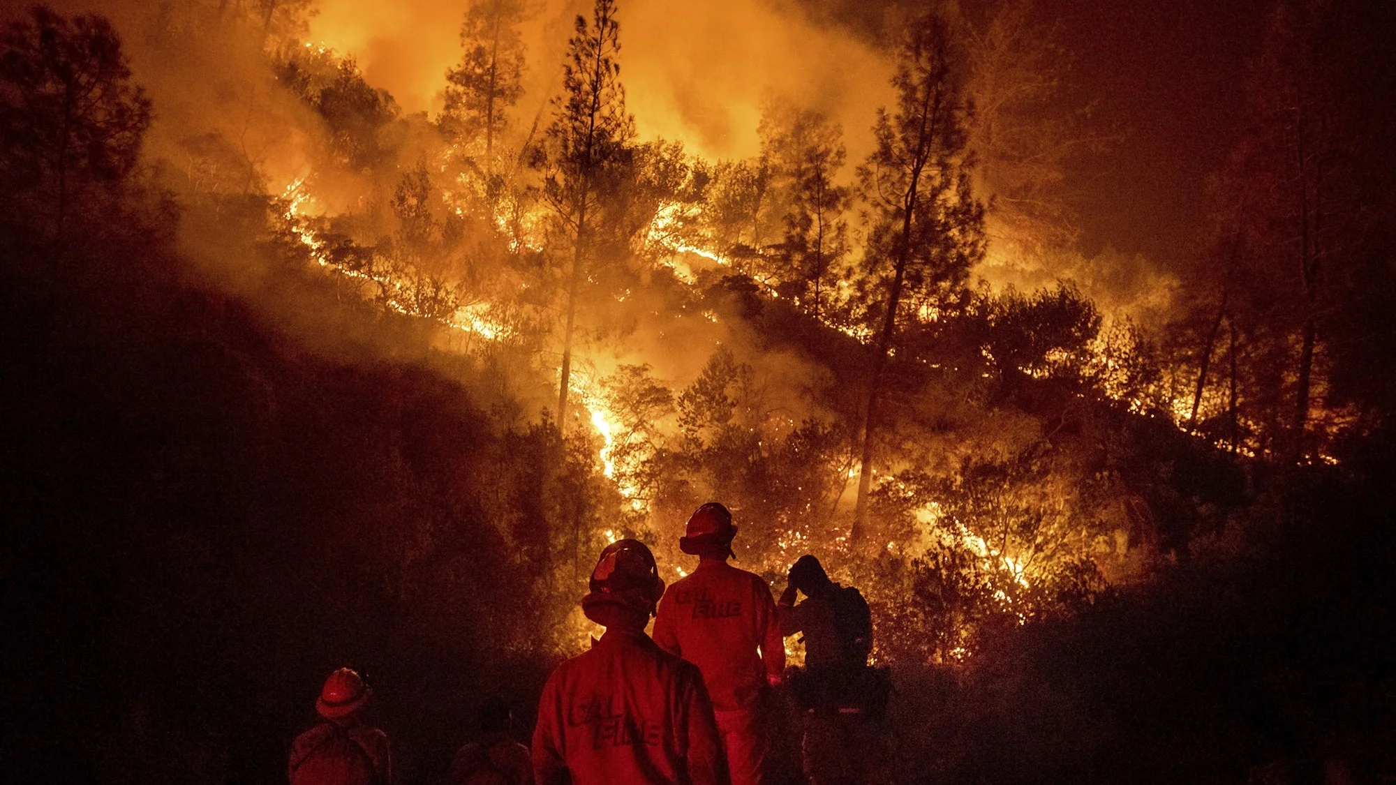 Noah Berger / AP