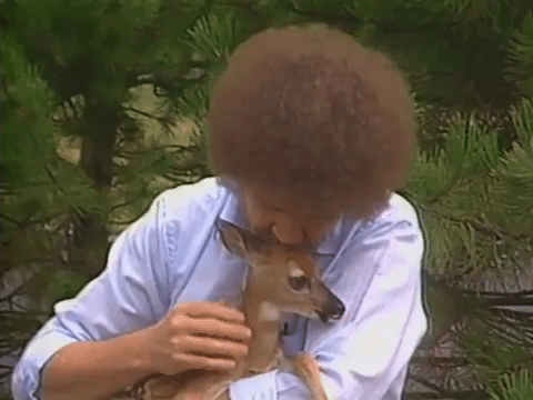 87e06f2b-2276-42b7-bb18-4f574b26661b.gif