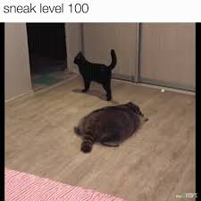 download.jpeg