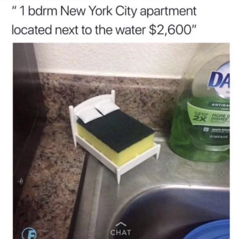 95b12dd0-25fa-466b-9186-09c8fc0e65c9.jpeg