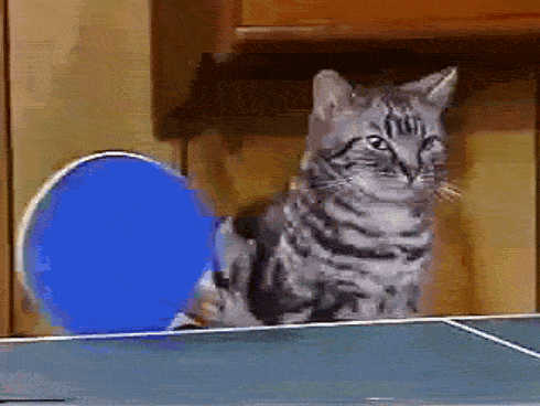 b552611e-46a1-45dd-97a6-065219d53a58.gif