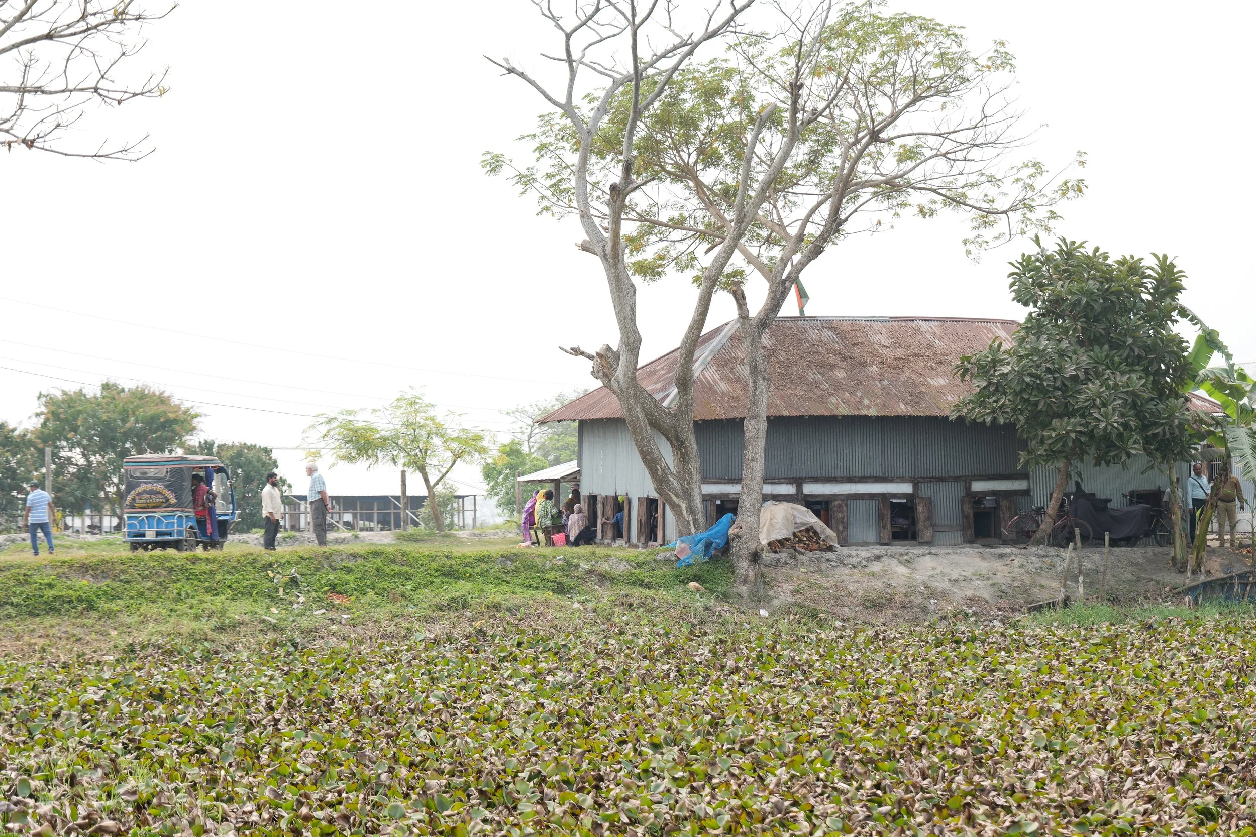 P1058175.jpg