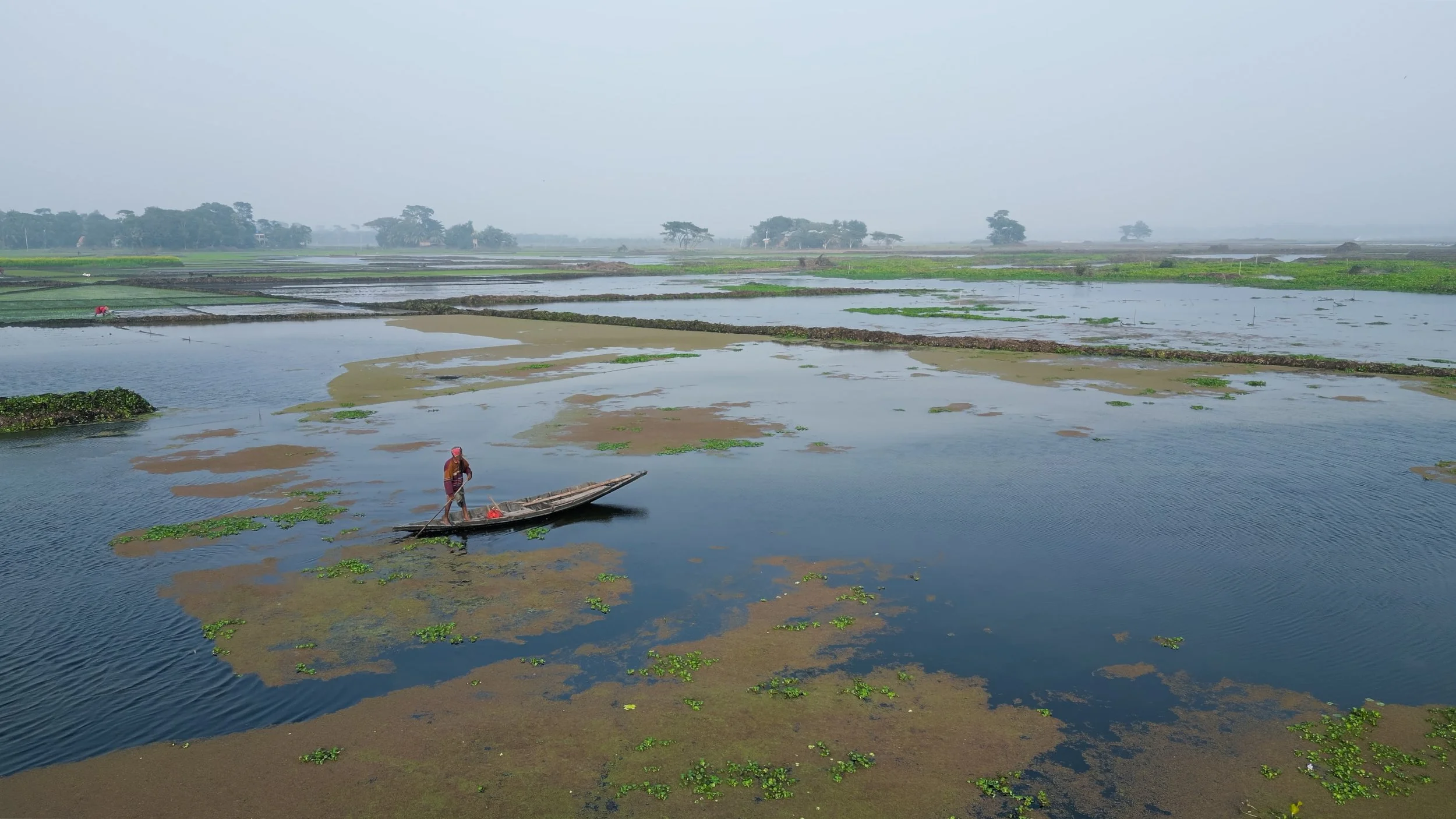 Untitled Project 3-Enhanced-SR.jpg