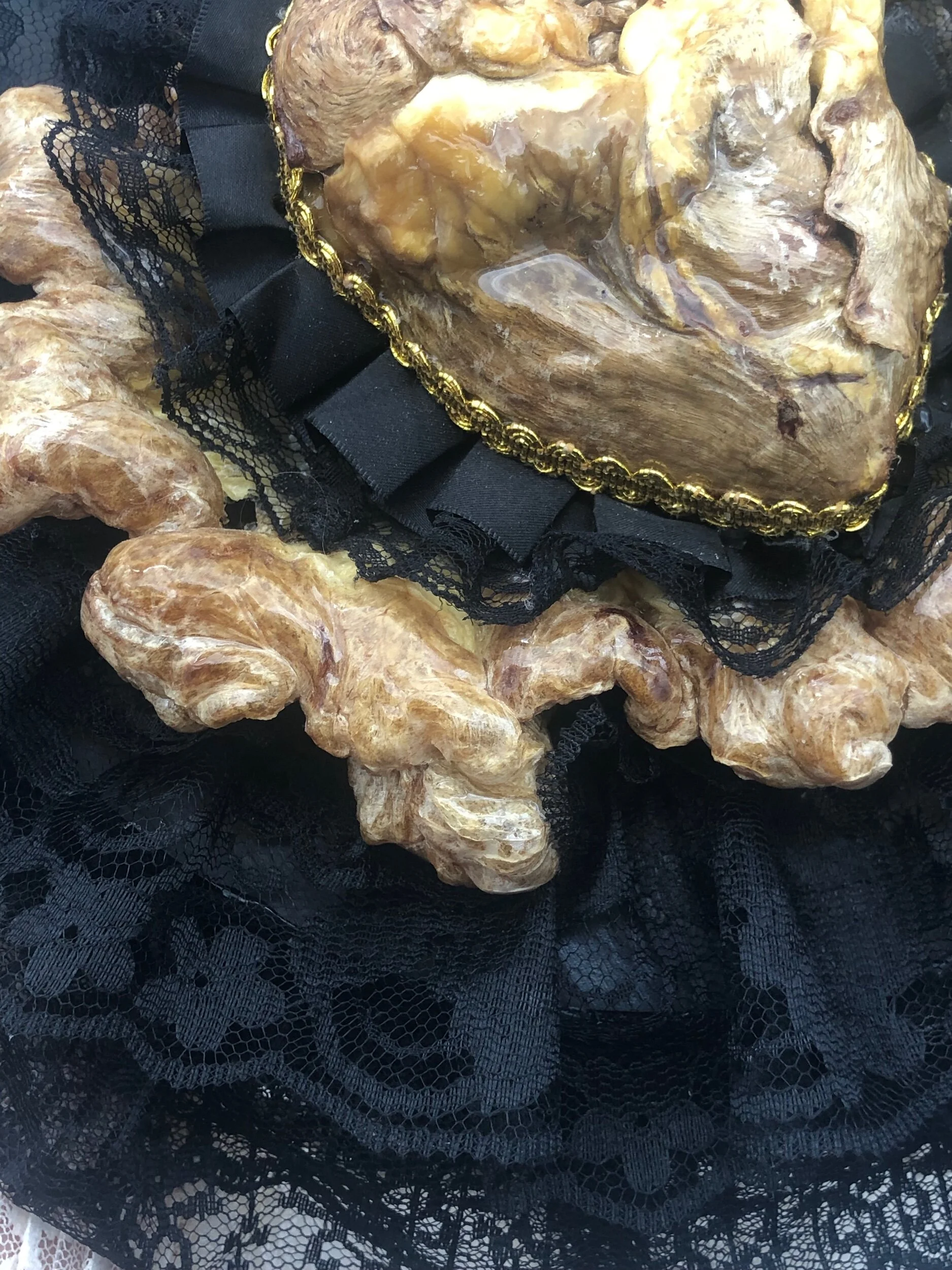 9026ED24-AB8C-4E0D-B011-56B25BECB0C0