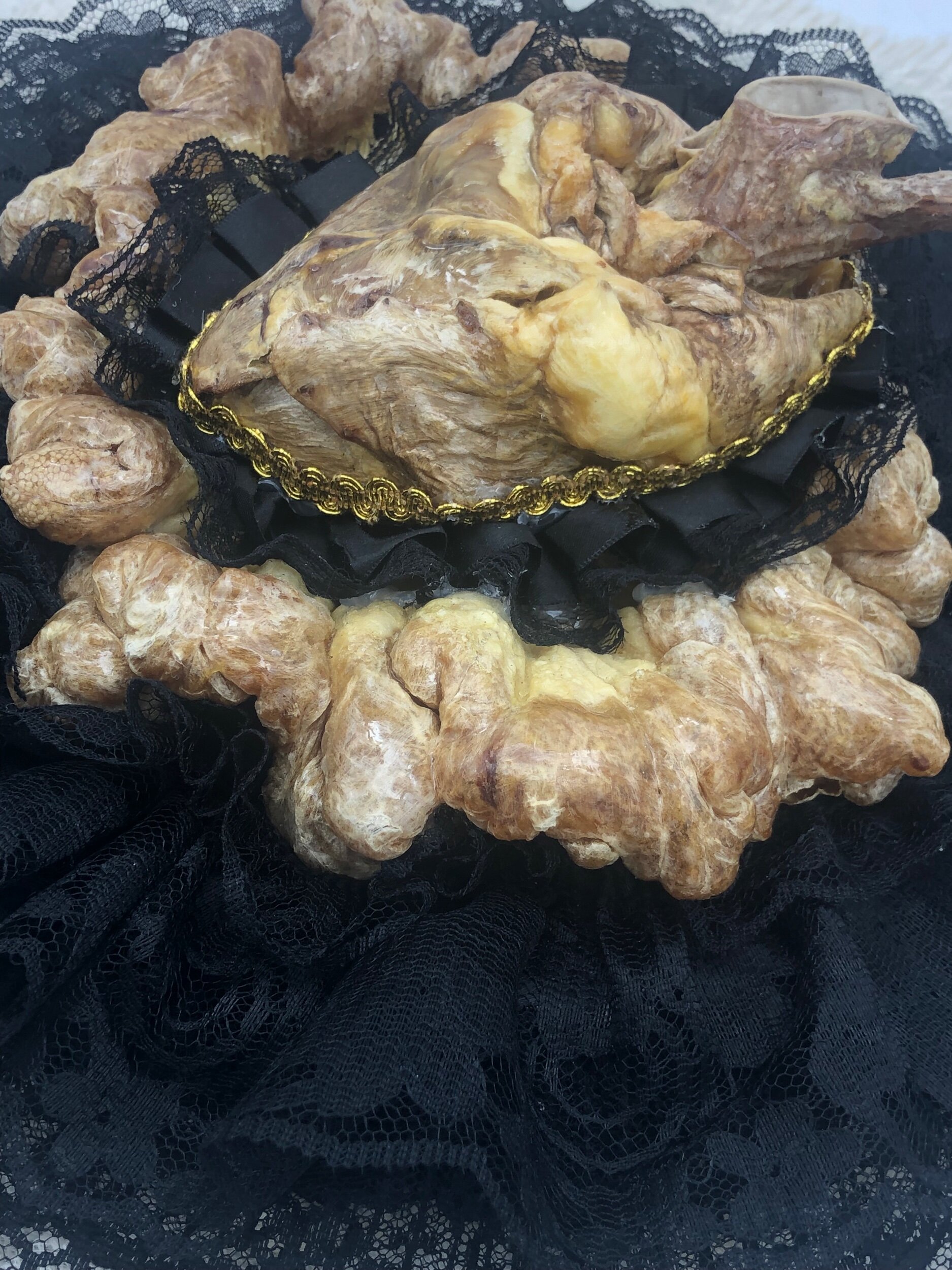 546D9E2D-BFDE-44D9-B1DC-C5EA4481EFC4