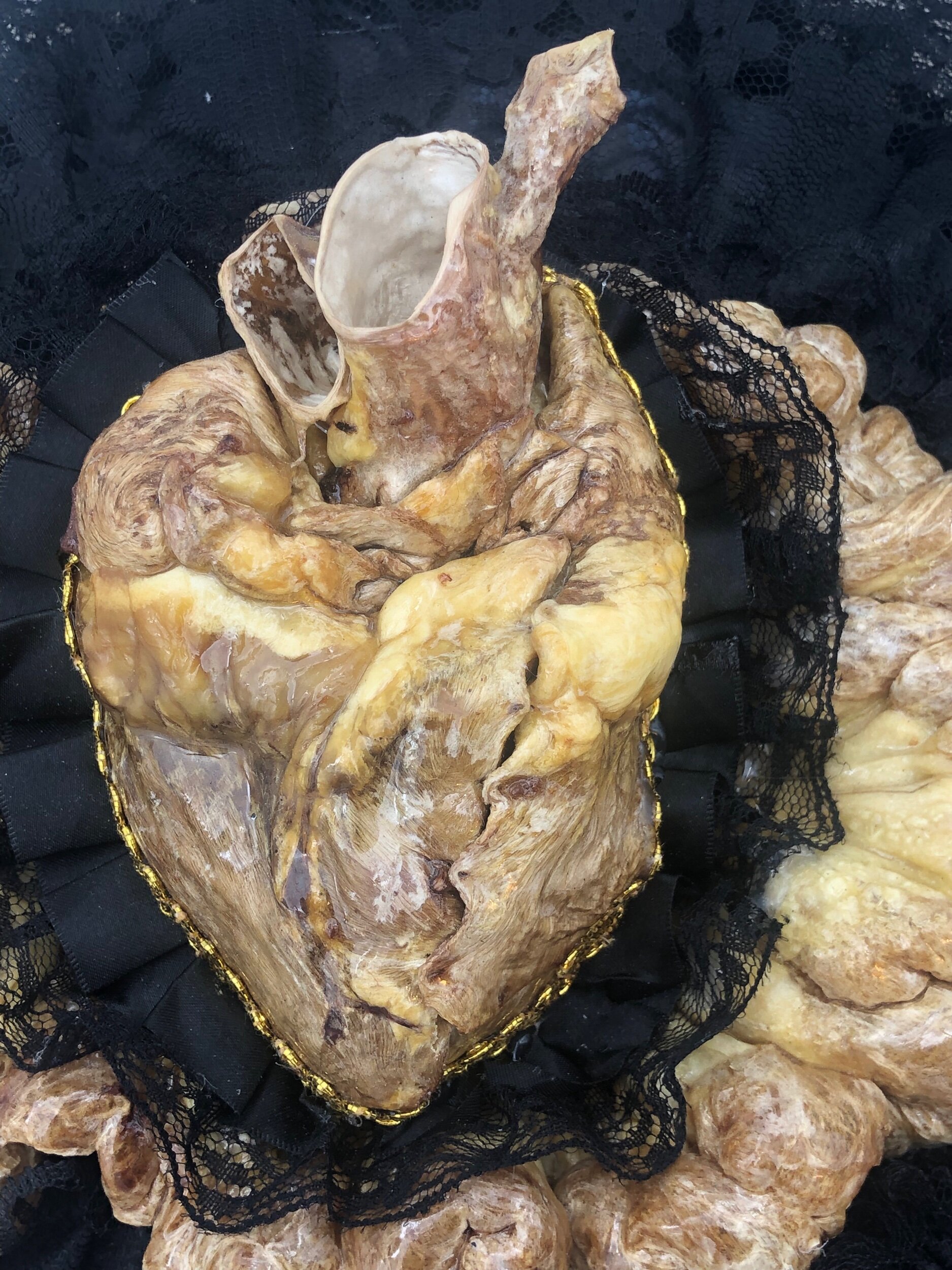 D1E519BE-9209-4038-8BDD-86CC0C1C5718