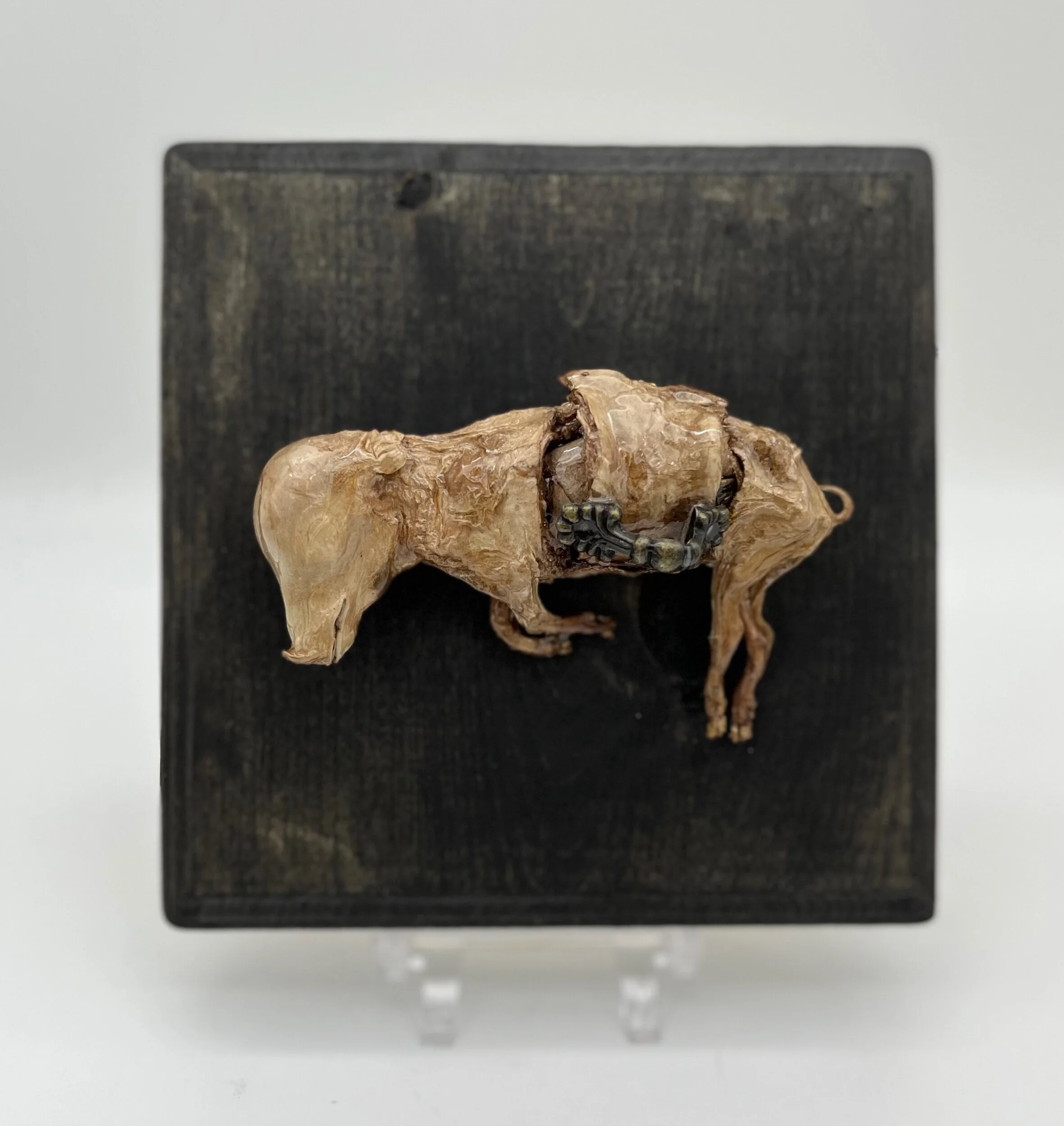 AD0FD03D-9FBA-4A60-A72E-17DBD1188063