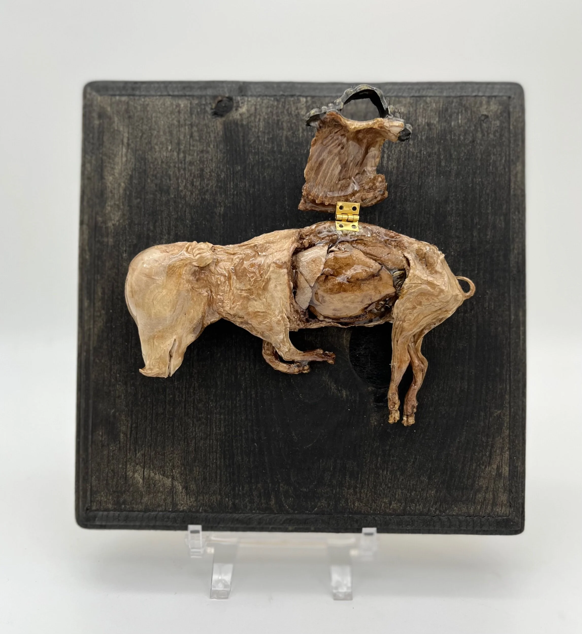 35826E38-5A4F-48E5-AEB1-9B9A510A69C5