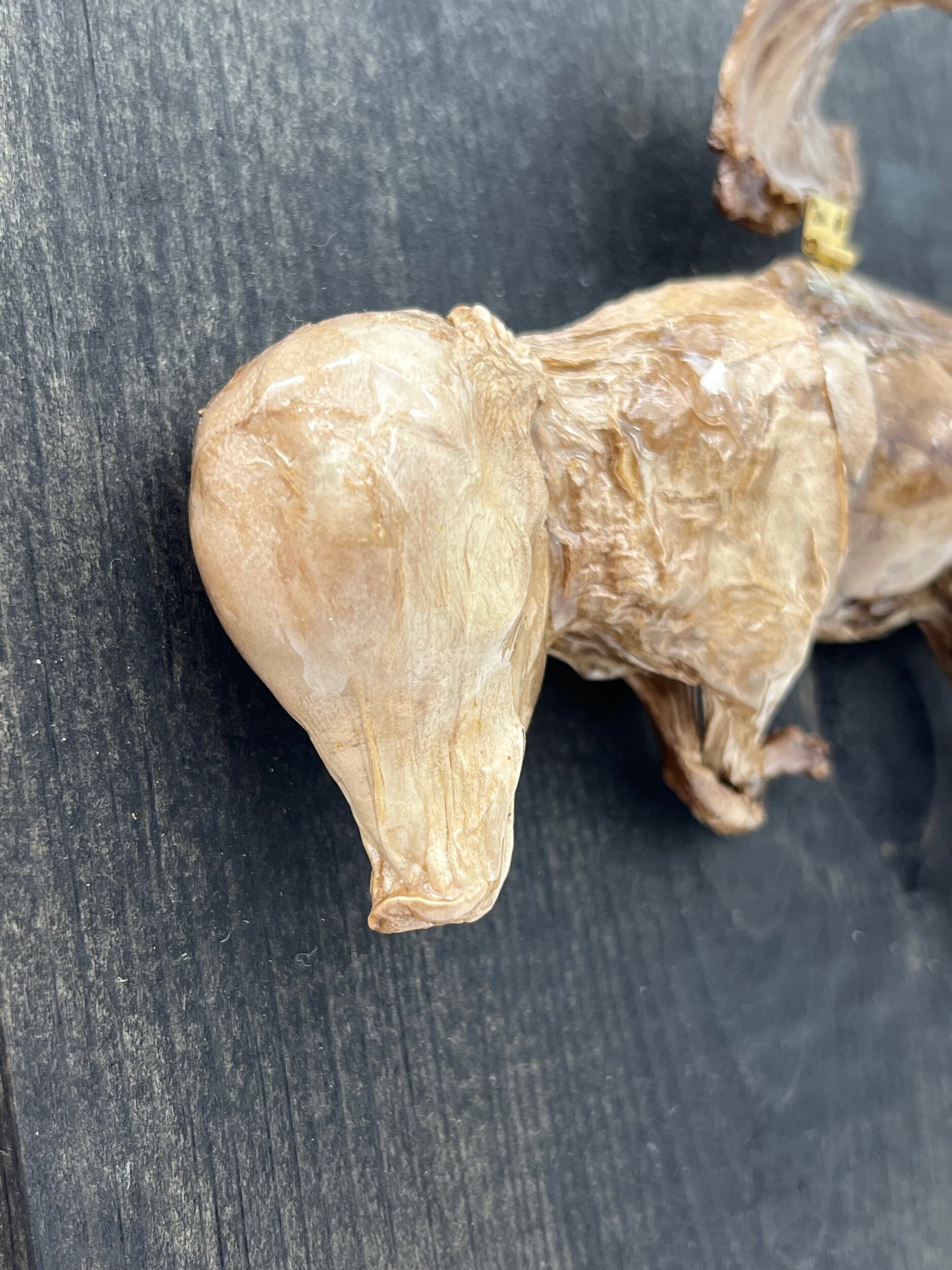 B119EFC4-0358-42B9-9484-1F324FA28A86