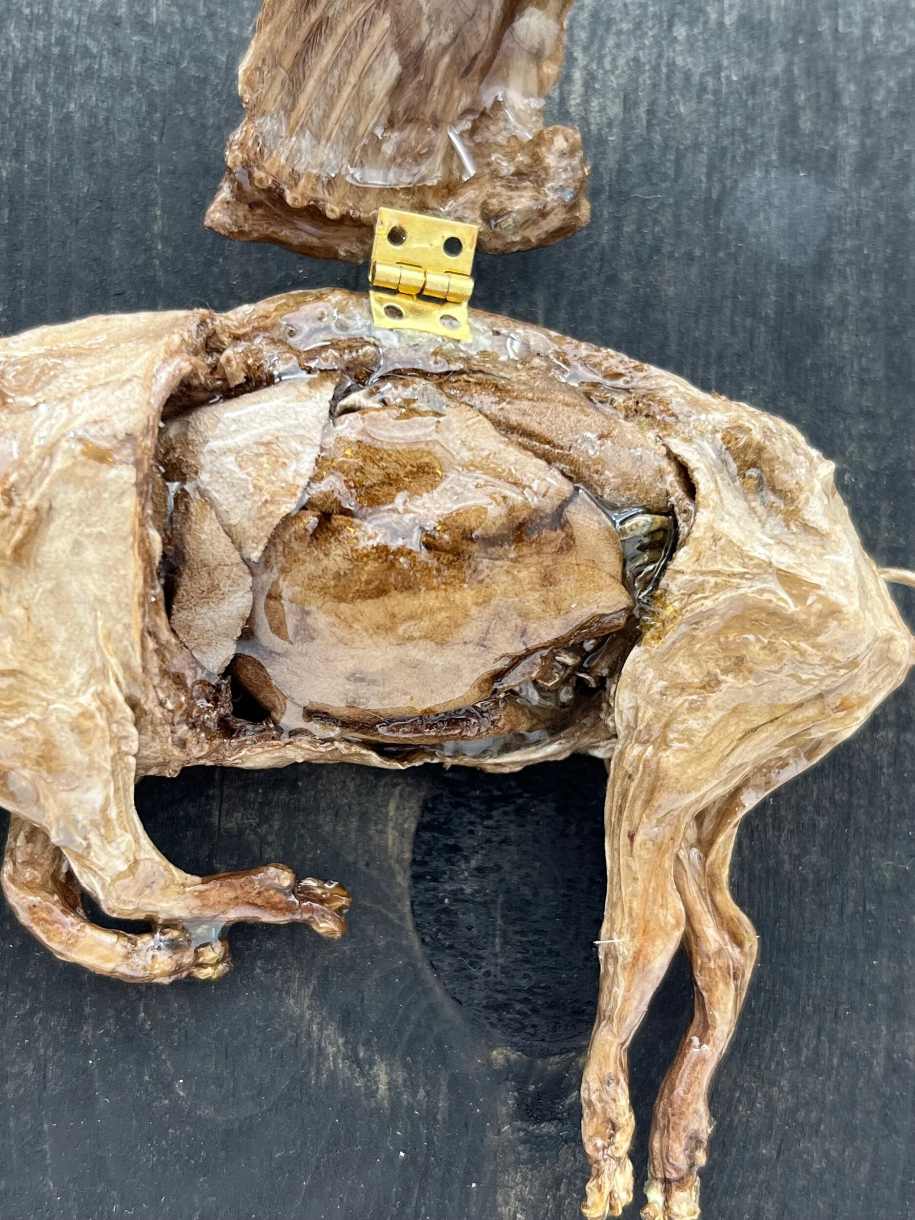 42DD4D4E-2EE5-410F-AC4D-9E434B43CE2B