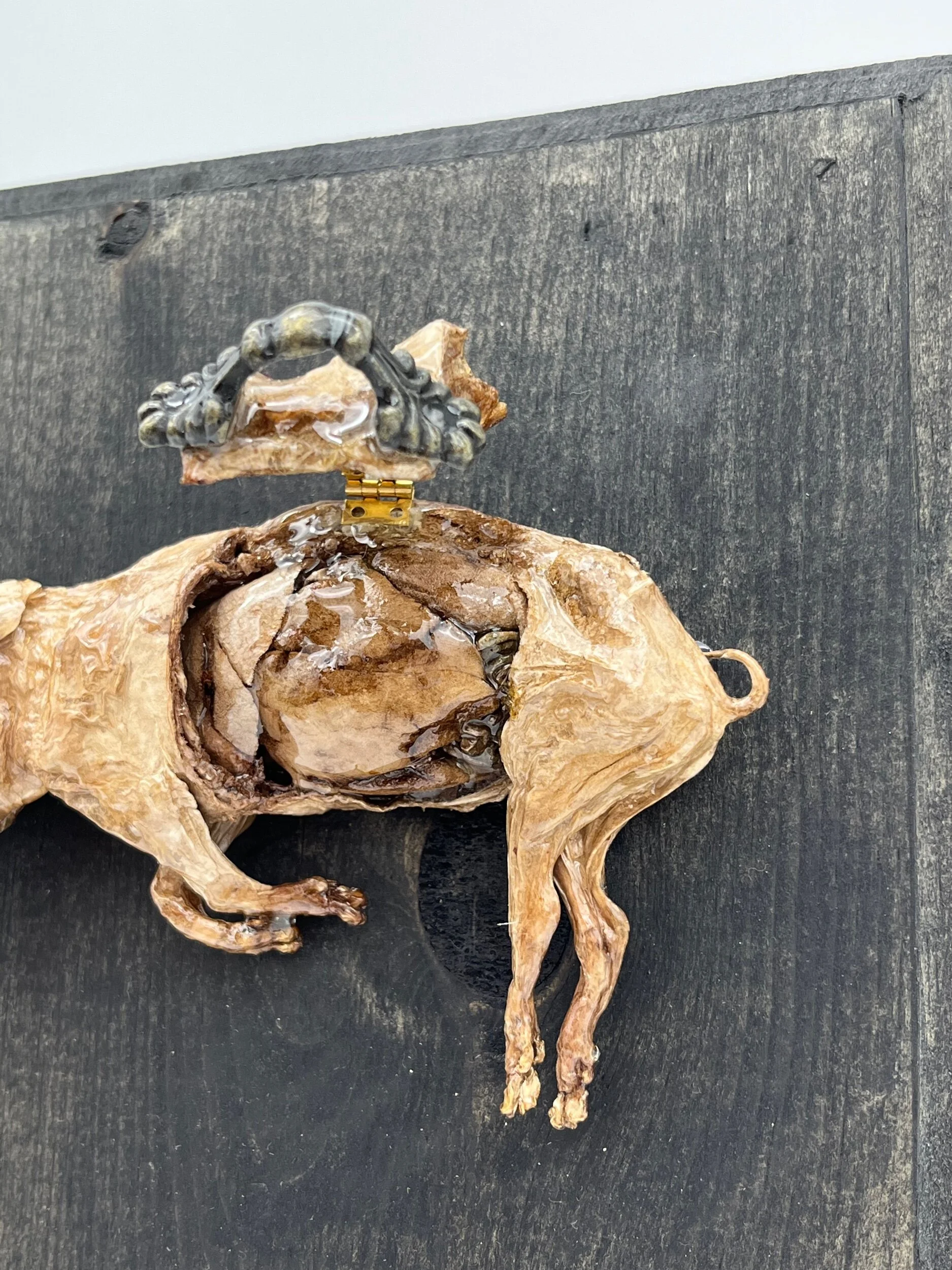 8A9B9427-B903-44C4-9F8D-76C6F0C35F04