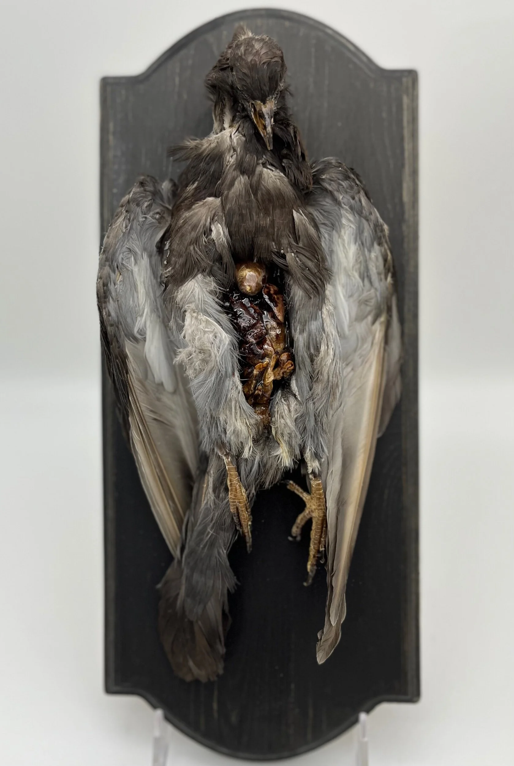 5A201E10-08D4-430A-849A-A96DB7650171