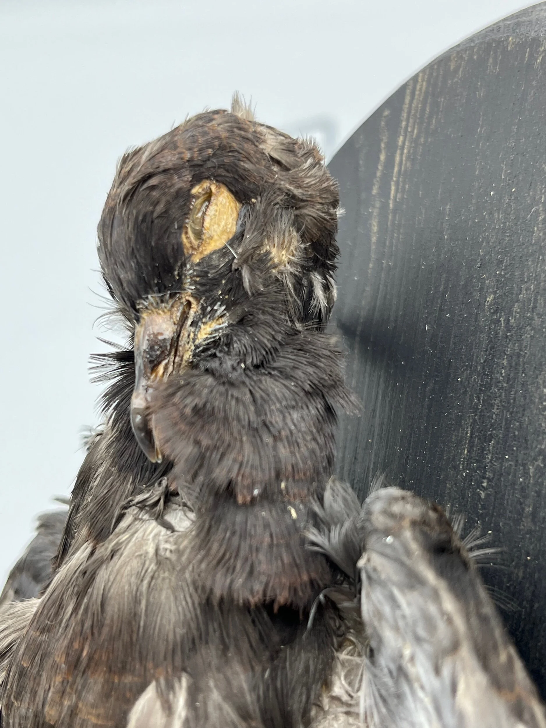 B98CD5EC-8554-4494-8AA2-0F615FFA42CC