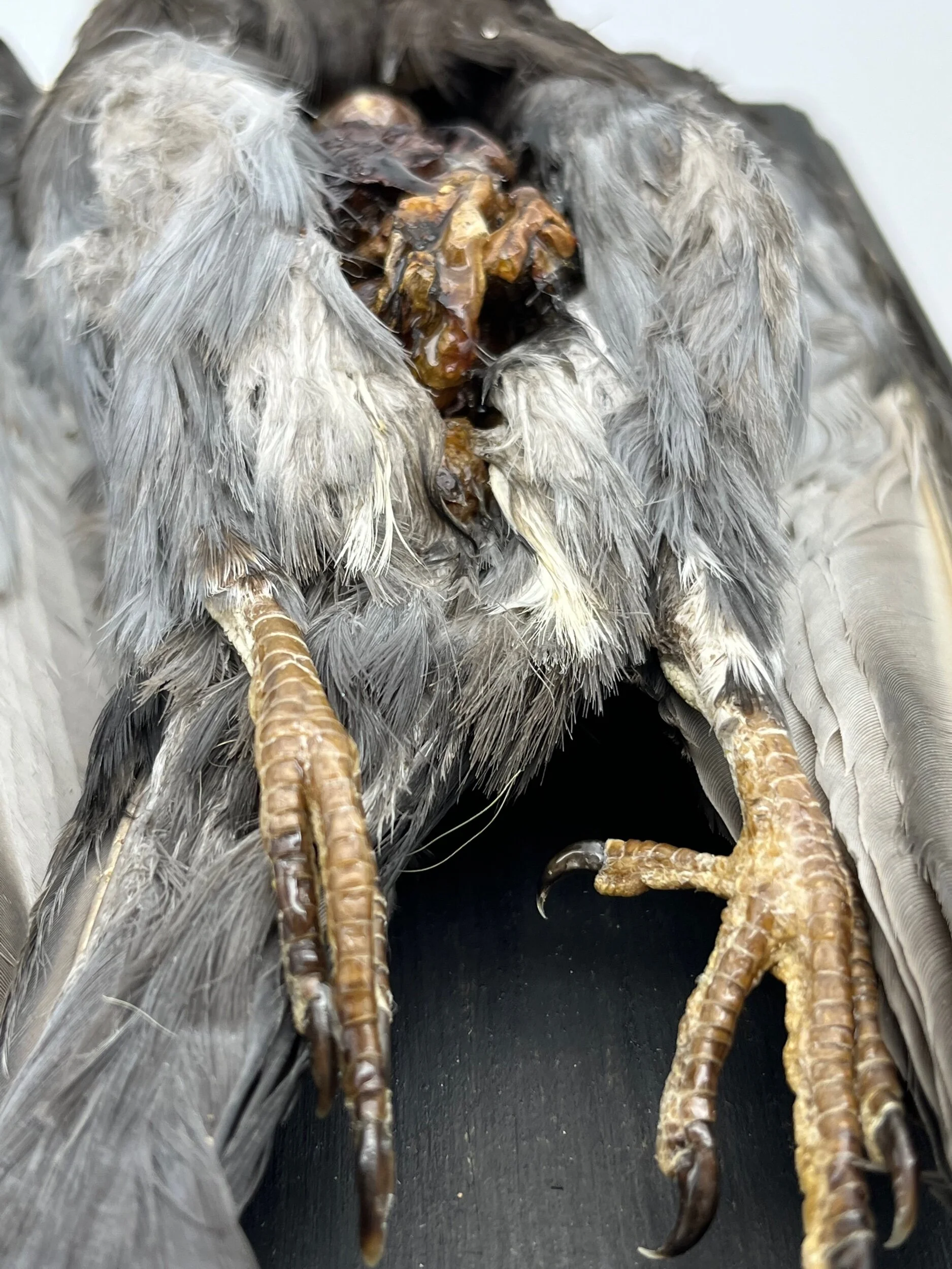 F4FE49AE-B268-48F3-83F0-FA15C9F74B9C