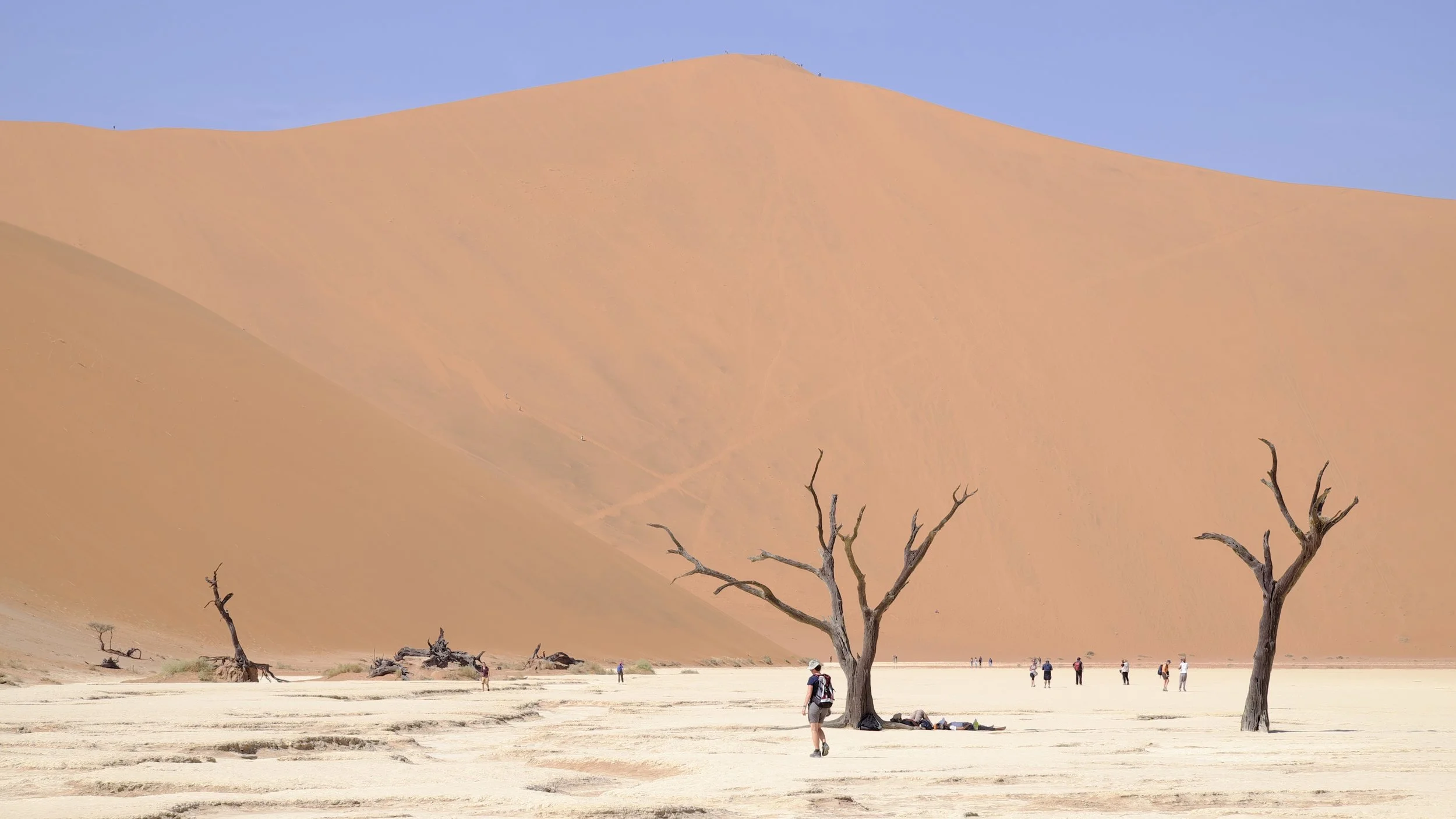 Dead Vlei