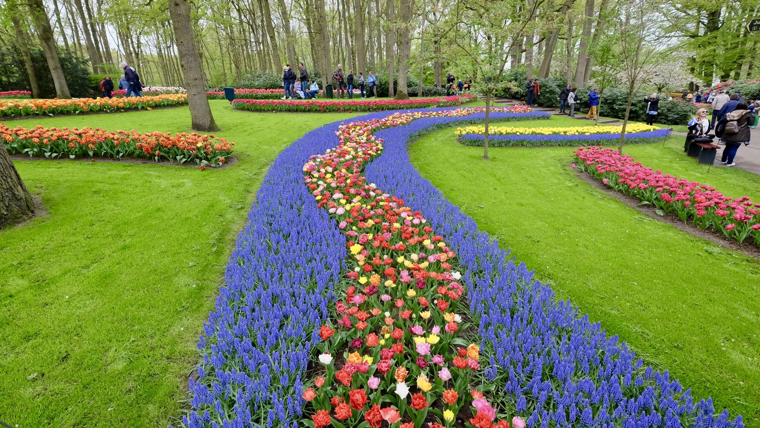 Keukenhof