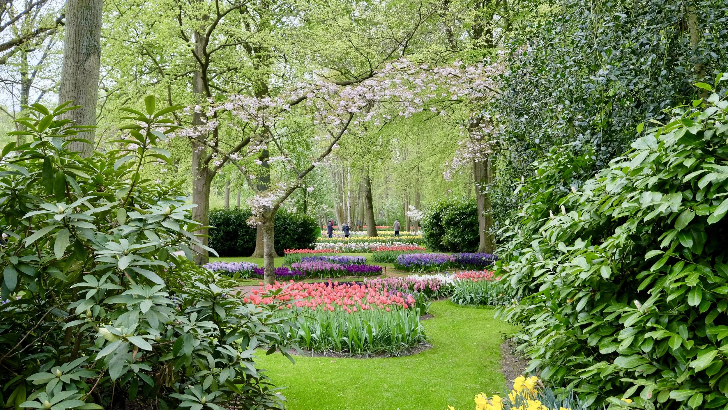Keukenhof