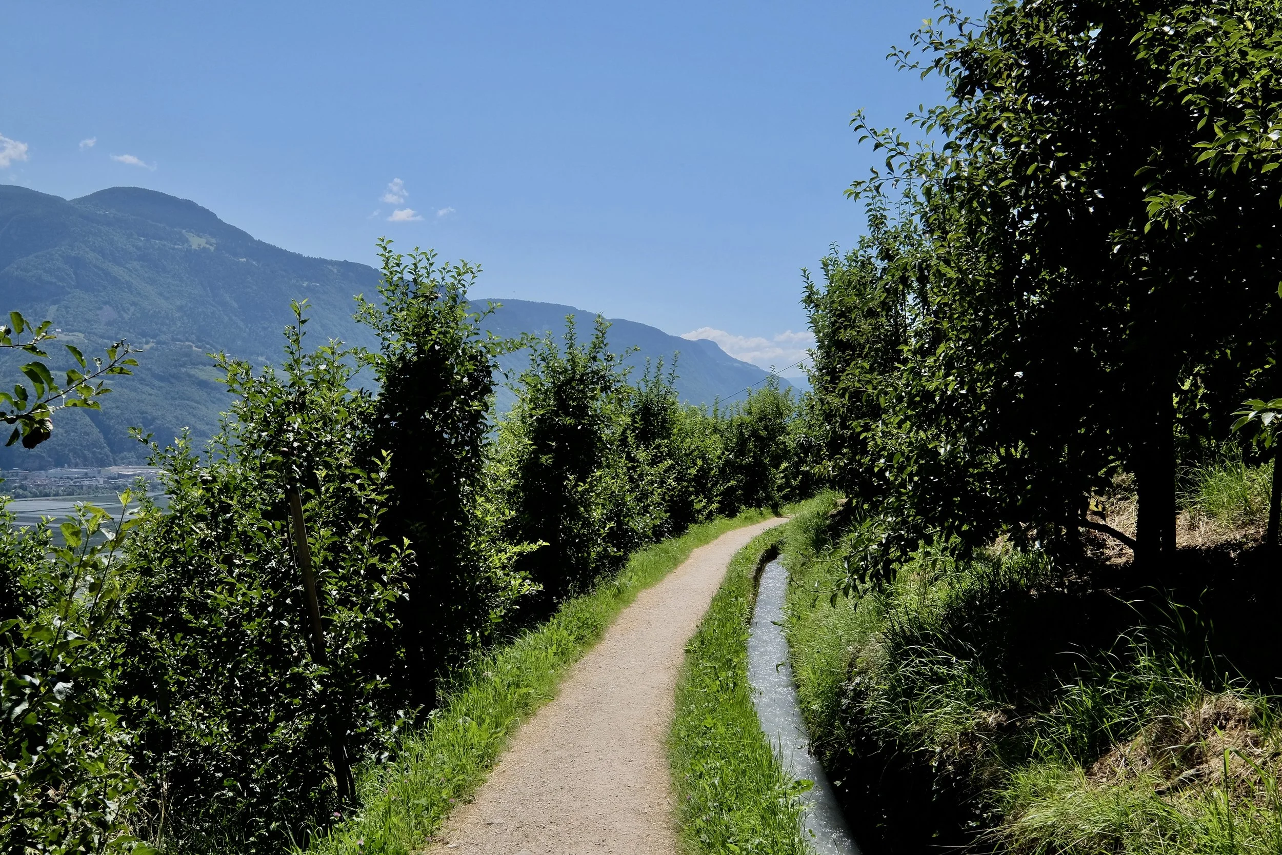 Marlinger Waalweg