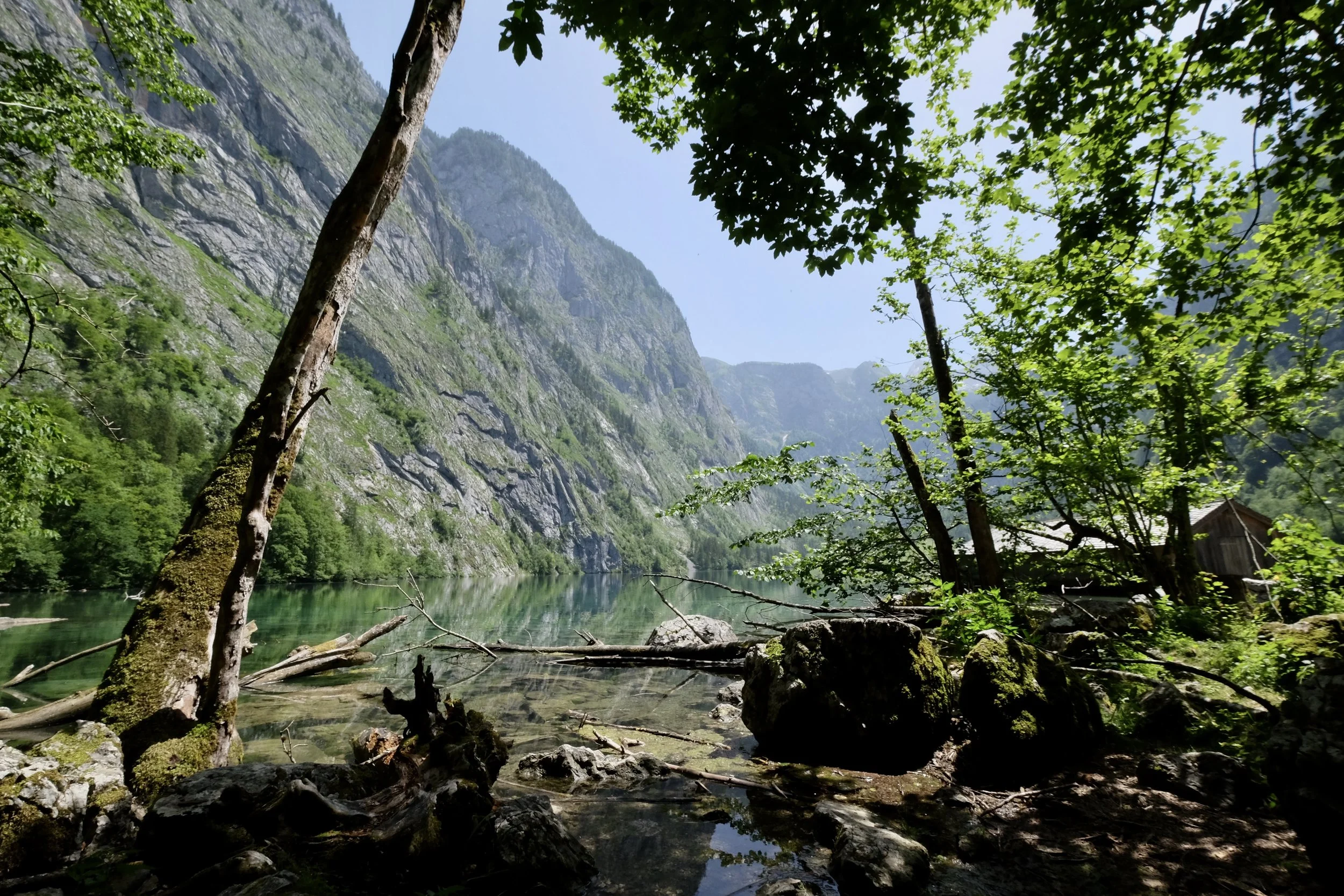 Obersee