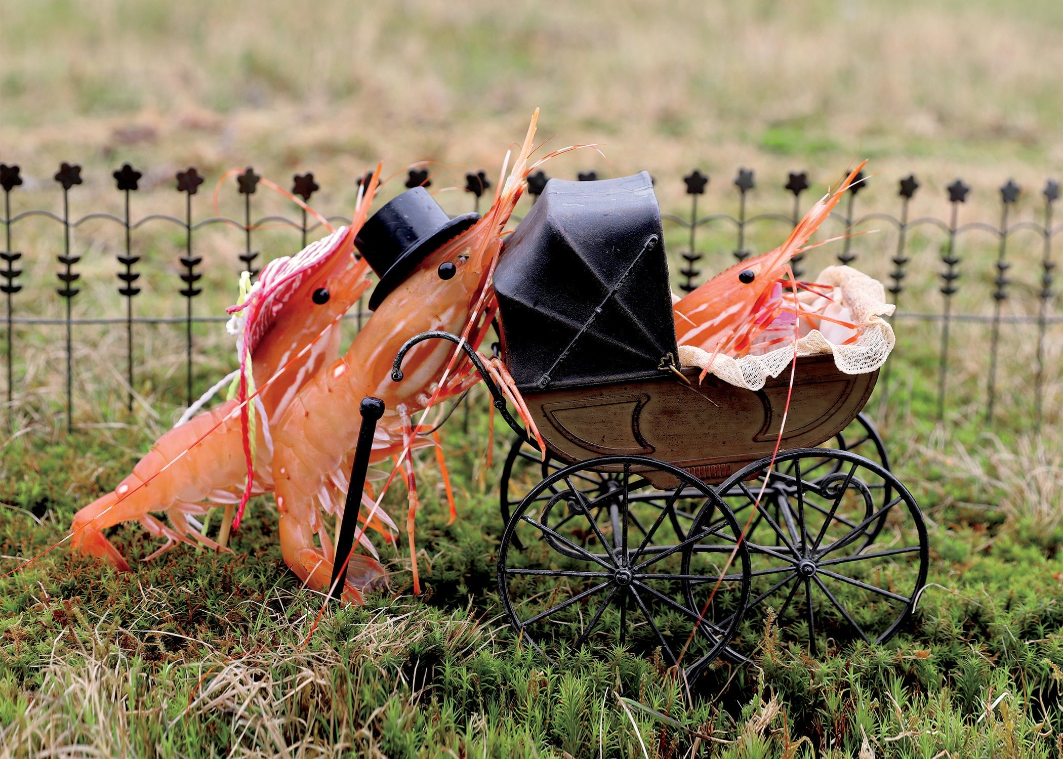 Shrimp Family Greeting Card!