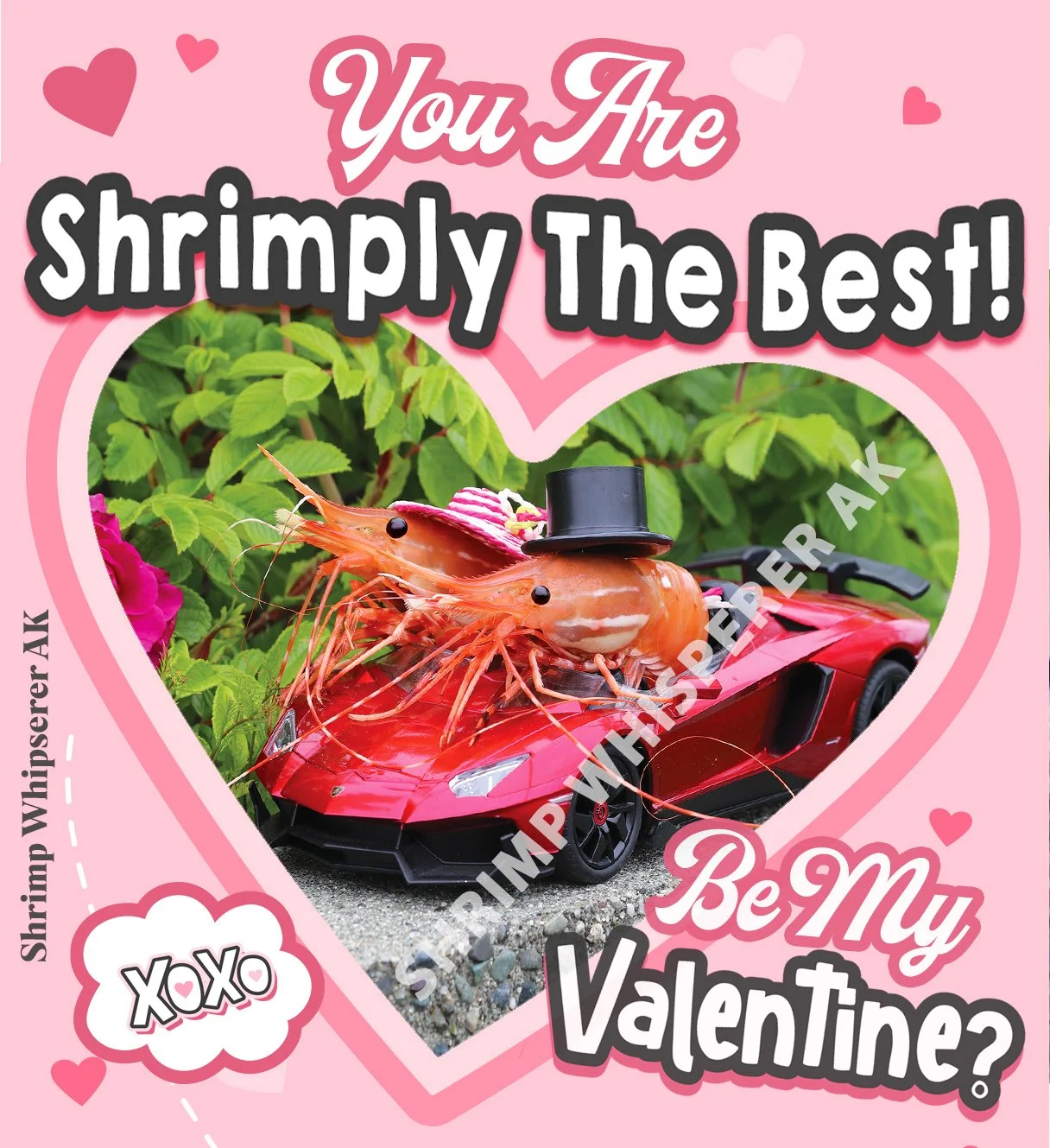 watermarked shrimp valentine .jpg