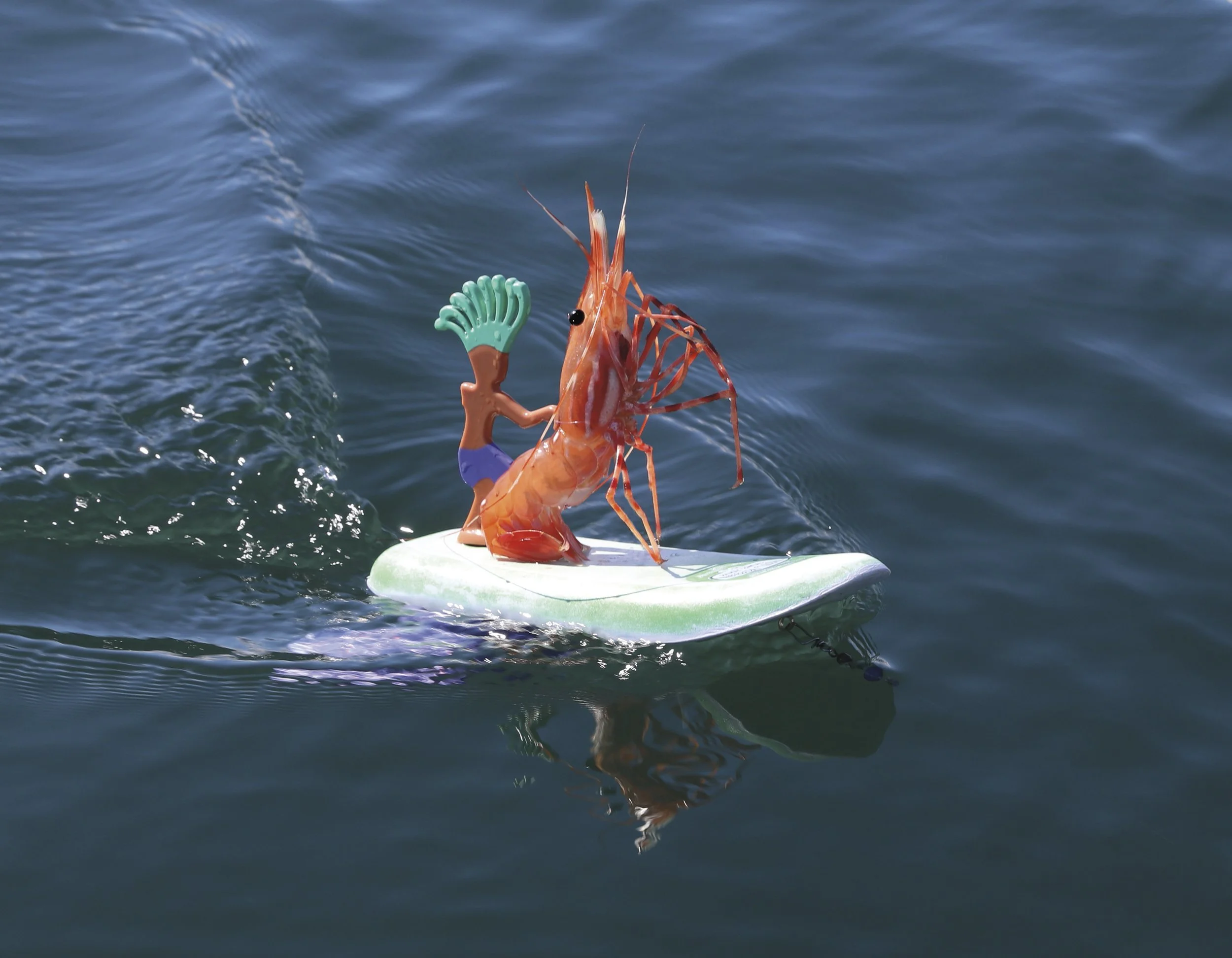 8 - Surfer Stu.jpeg