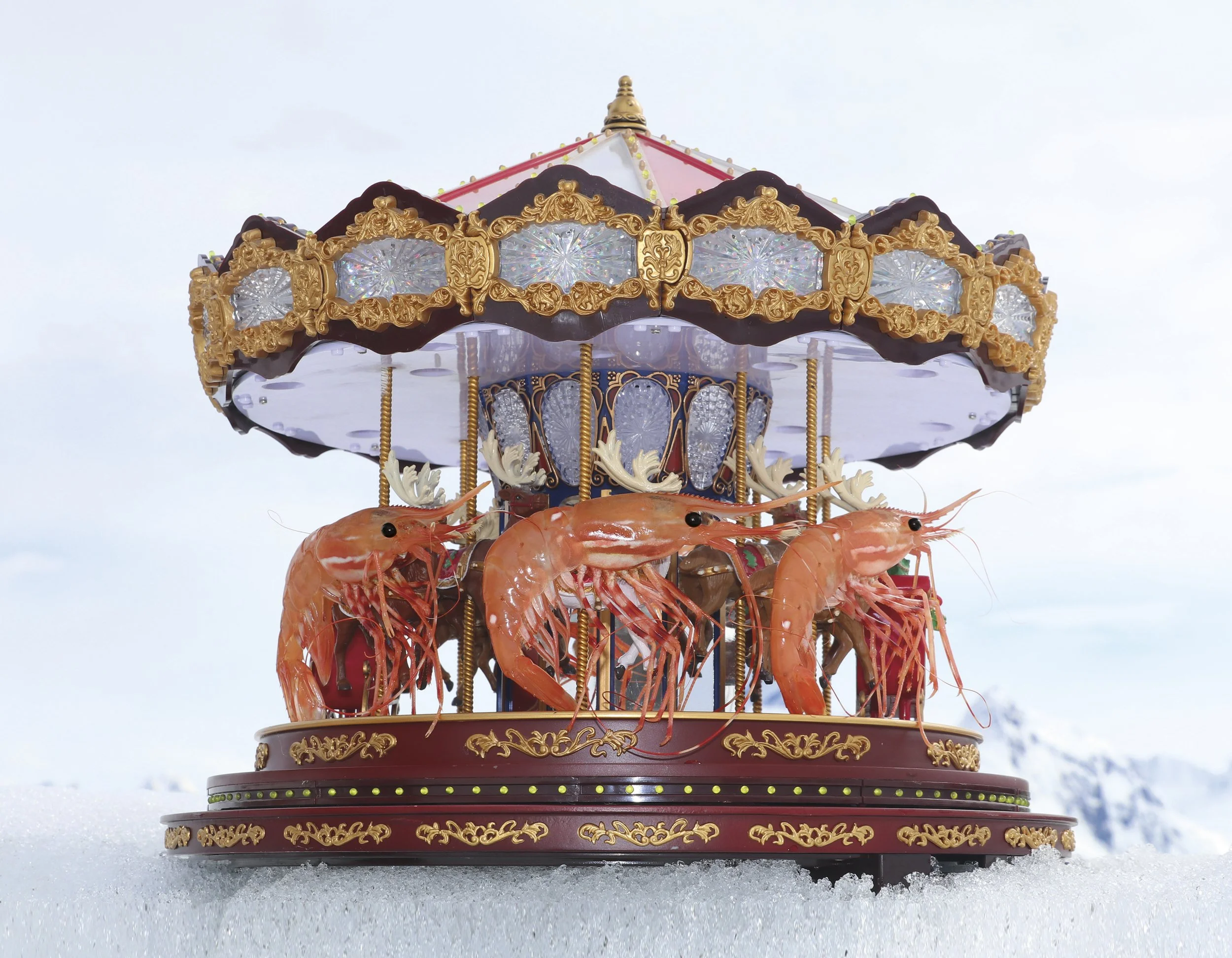 1 - The Carousel.jpeg