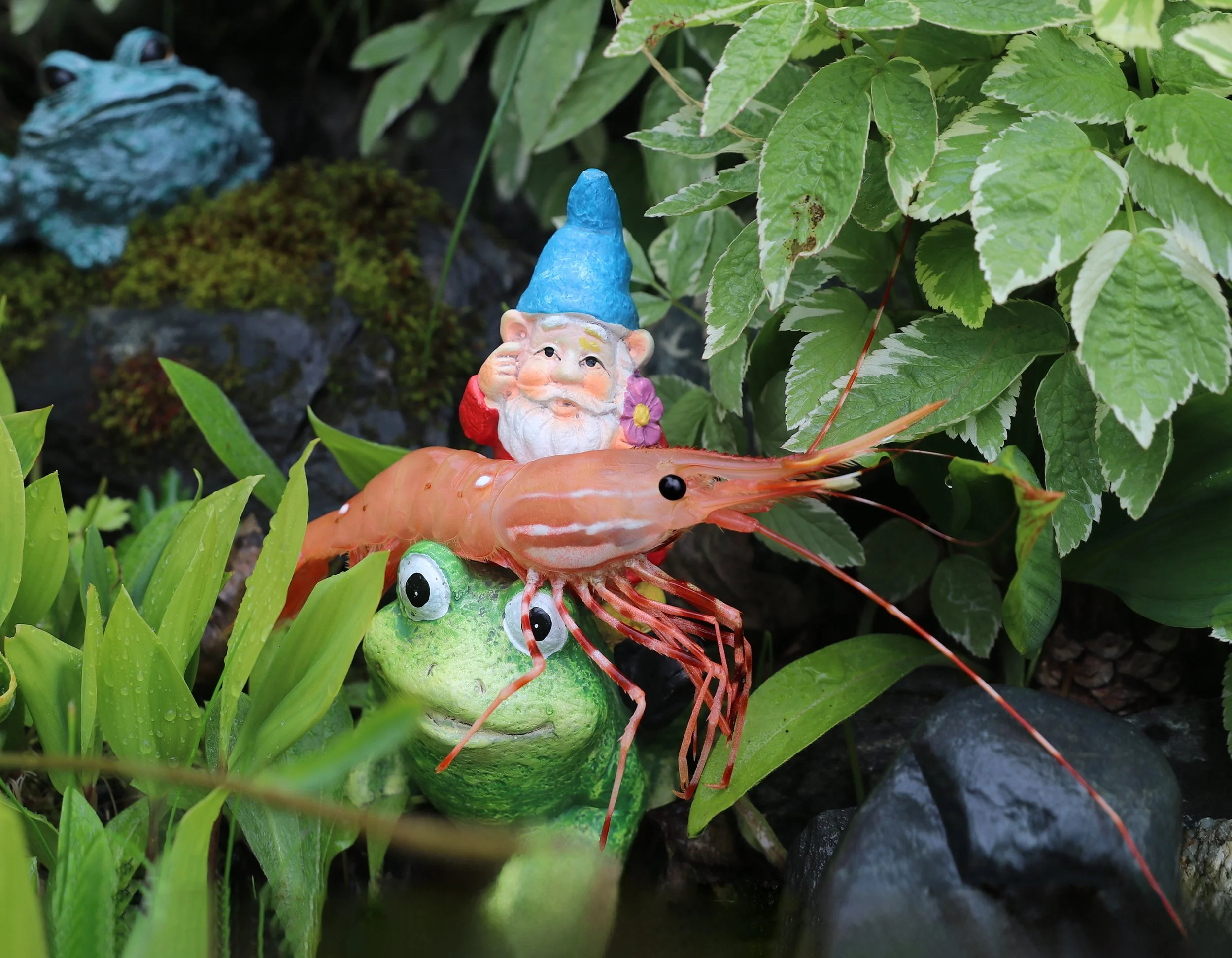 3 - Gnome.jpeg