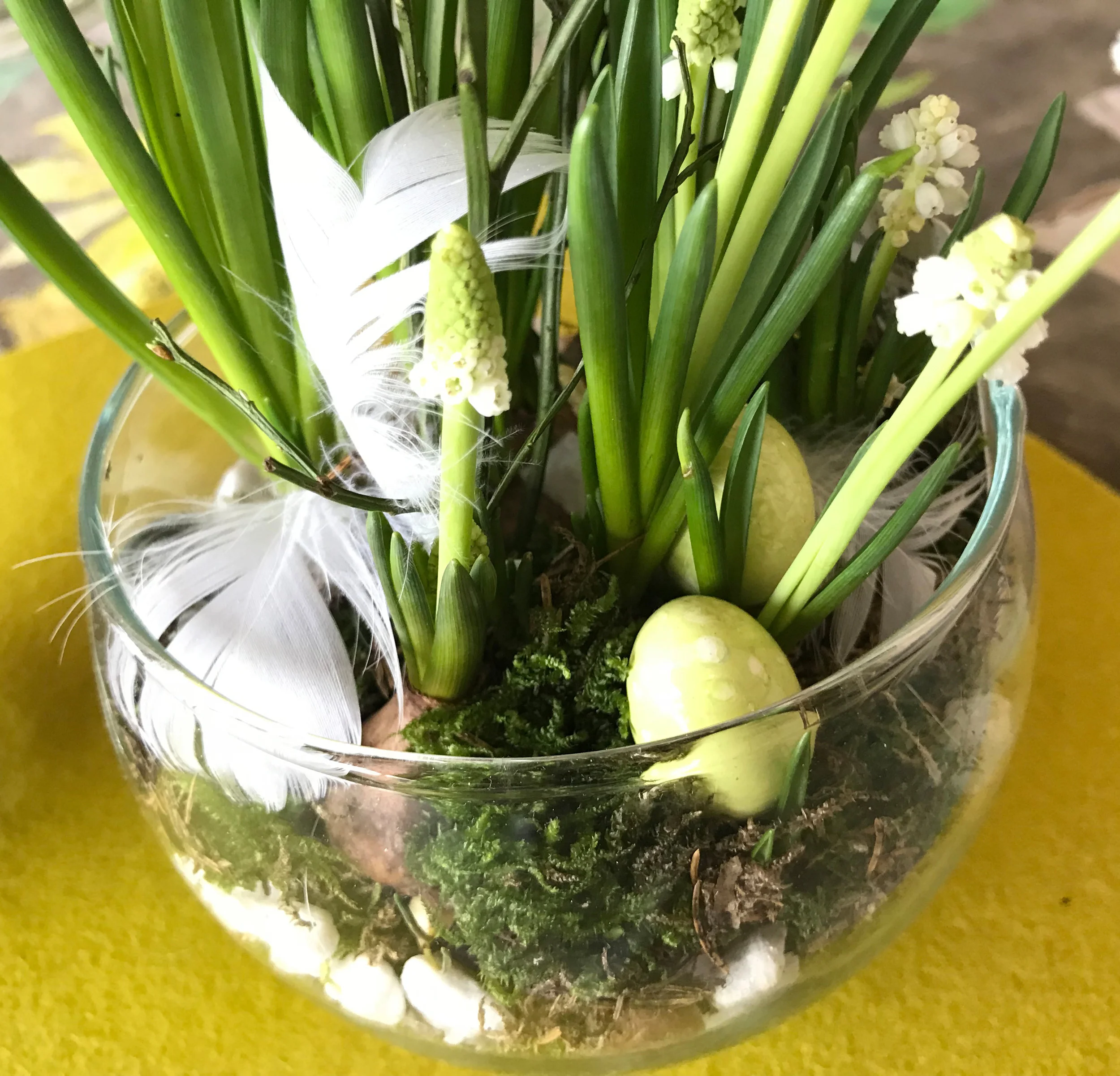 easter terranium 2.jpg
