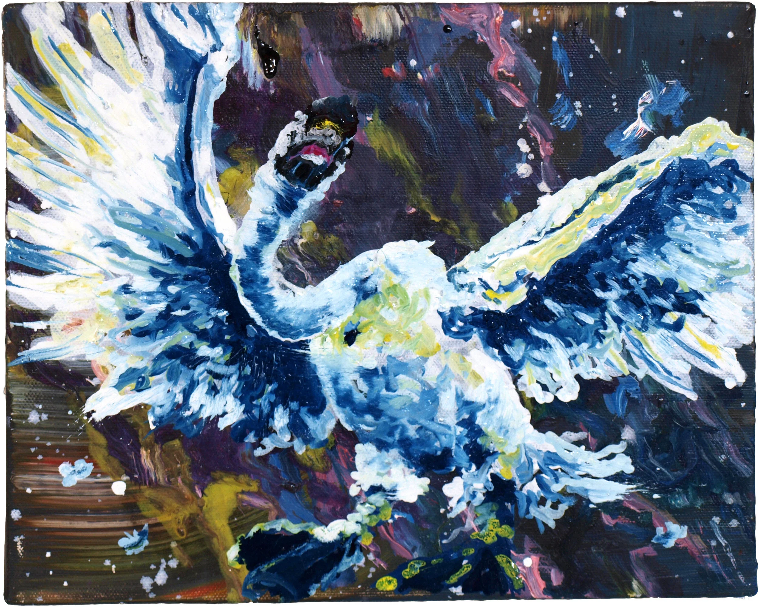 Sketch for Swan 24x30 cm oil on linen 2014