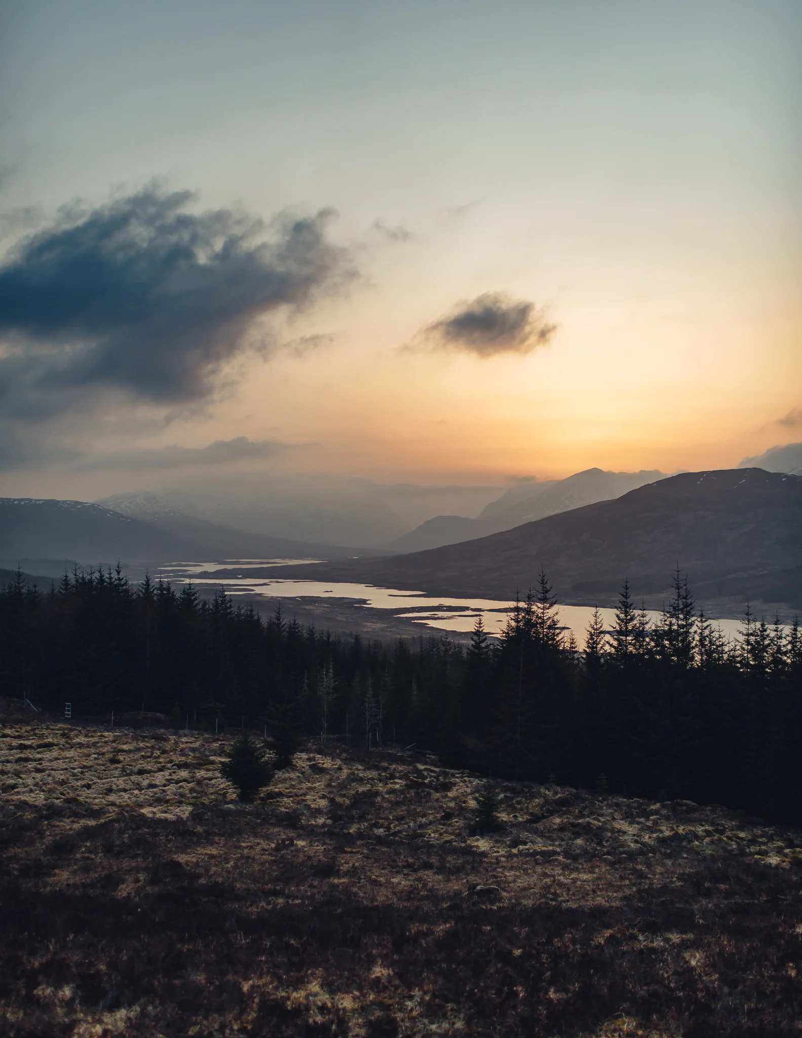 Skye1-2.jpg