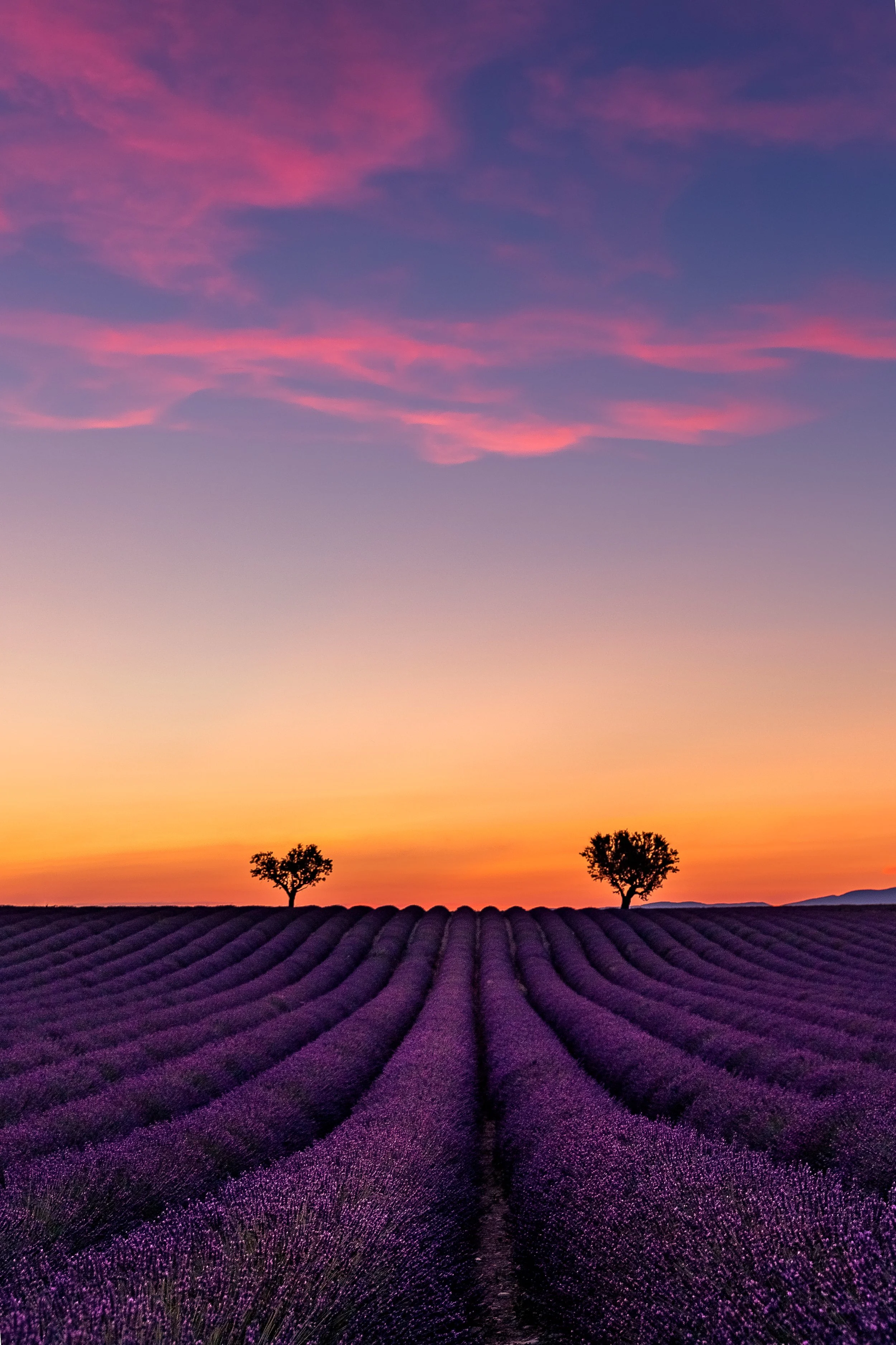 Provence-6710.jpg