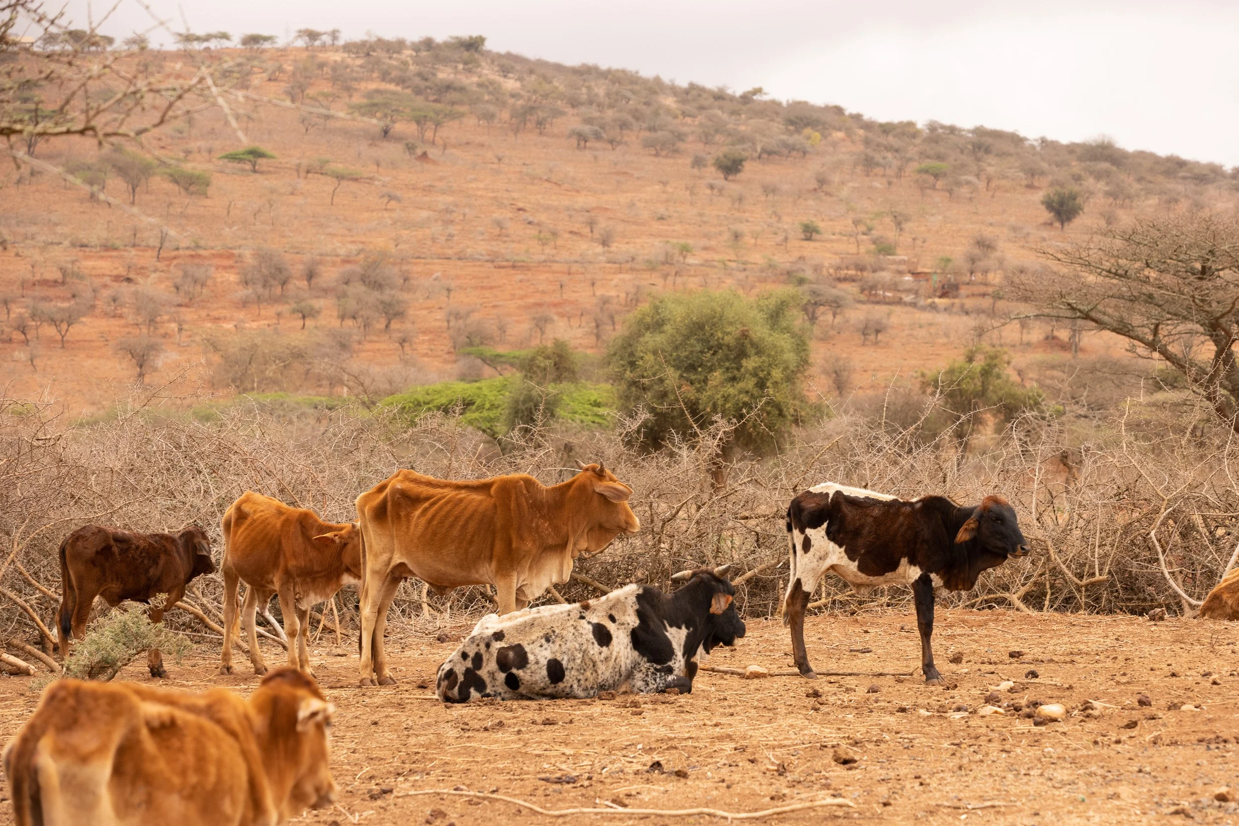PPKajiado-3.jpg