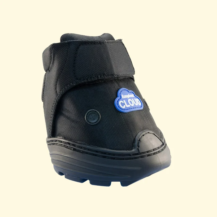 Easyboot Cloud