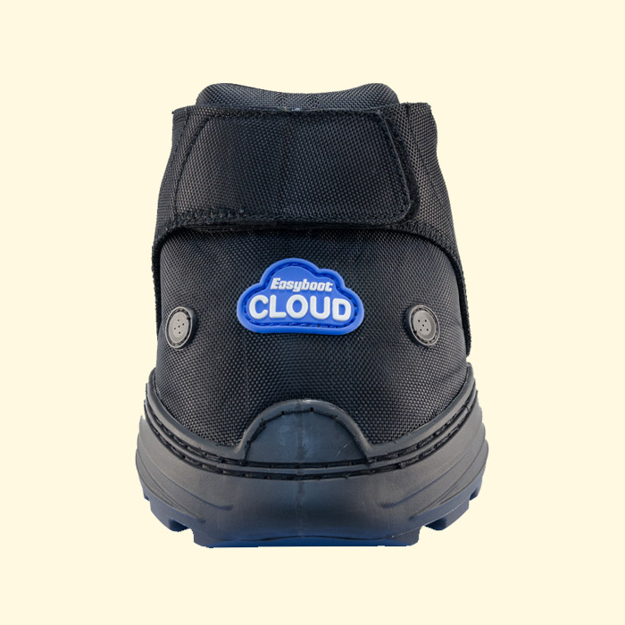 easyboot cloud front