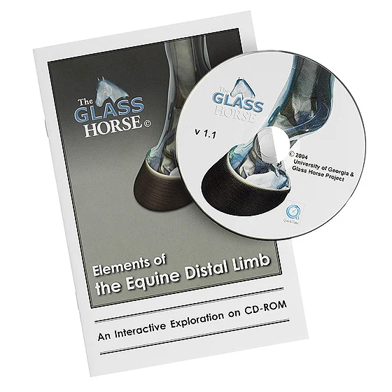 the glass horse cd-rom.jpg