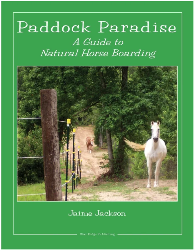 Paddock-Paradise-A-guide-to-Natural-Horse-Boarding.jpg
