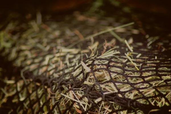 handy-hay-nets-closeup-sm.jpg