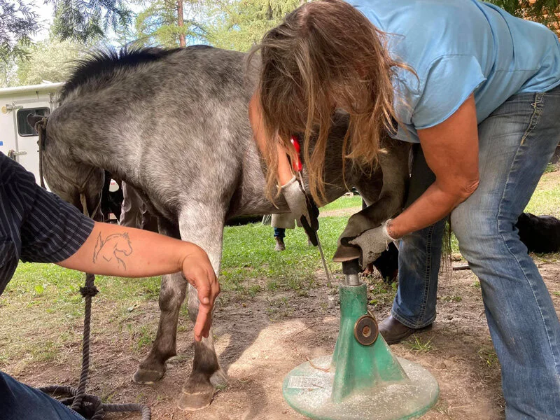 Leah Hope getting her angles just right