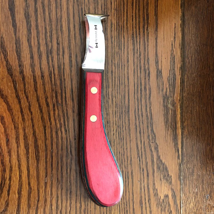 Velocity Loop Knife with Pick red