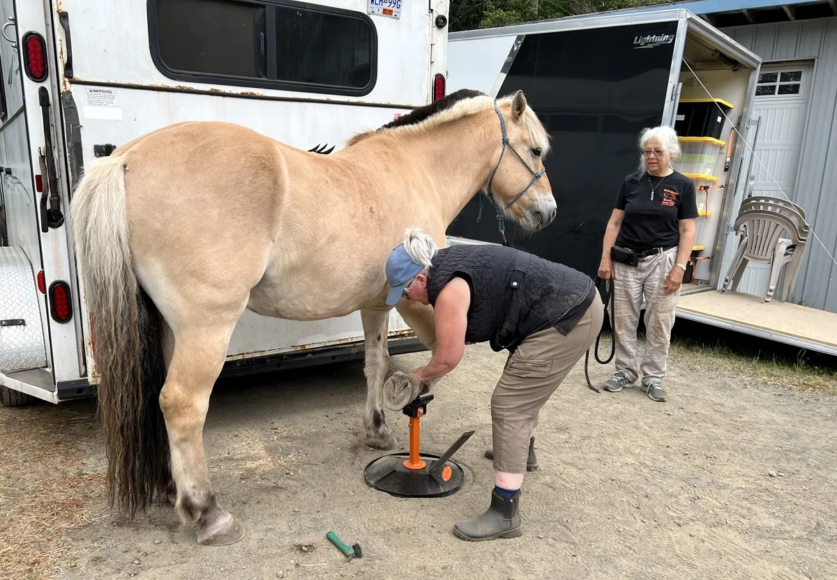 Barefoot Trimming Clinics Across Canada — Hoof Geeks