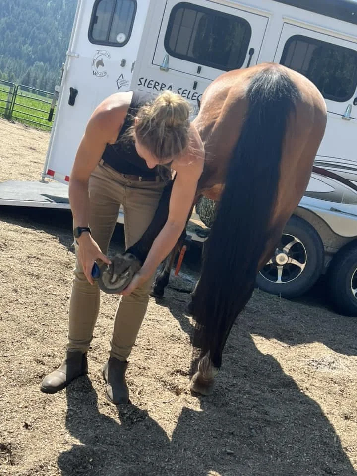hoof-trimming4-day-grand-forks-bc-hoof-geeks-clinic.jpeg