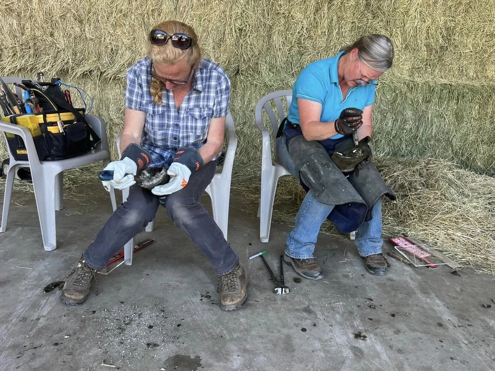 cadaver-trimming-day-Princeton-BC-hoof-geeks-clinic-2023 Large.jpeg