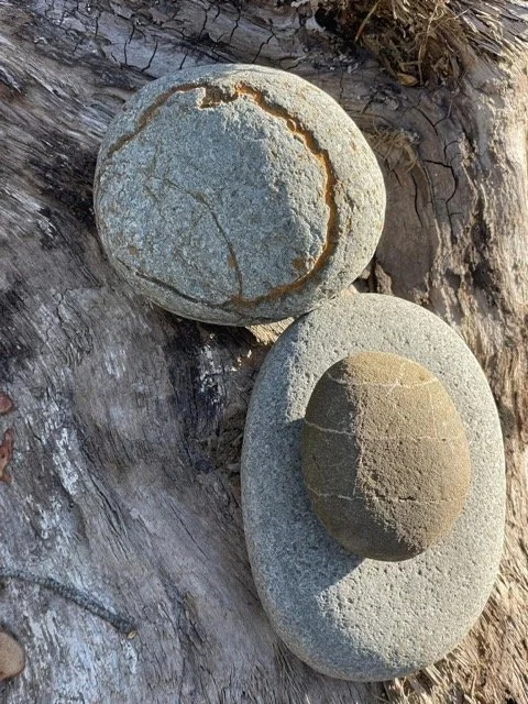 natures-textures-Princeton-BC-hoof-geeks-clinic-2023 Medium.jpeg