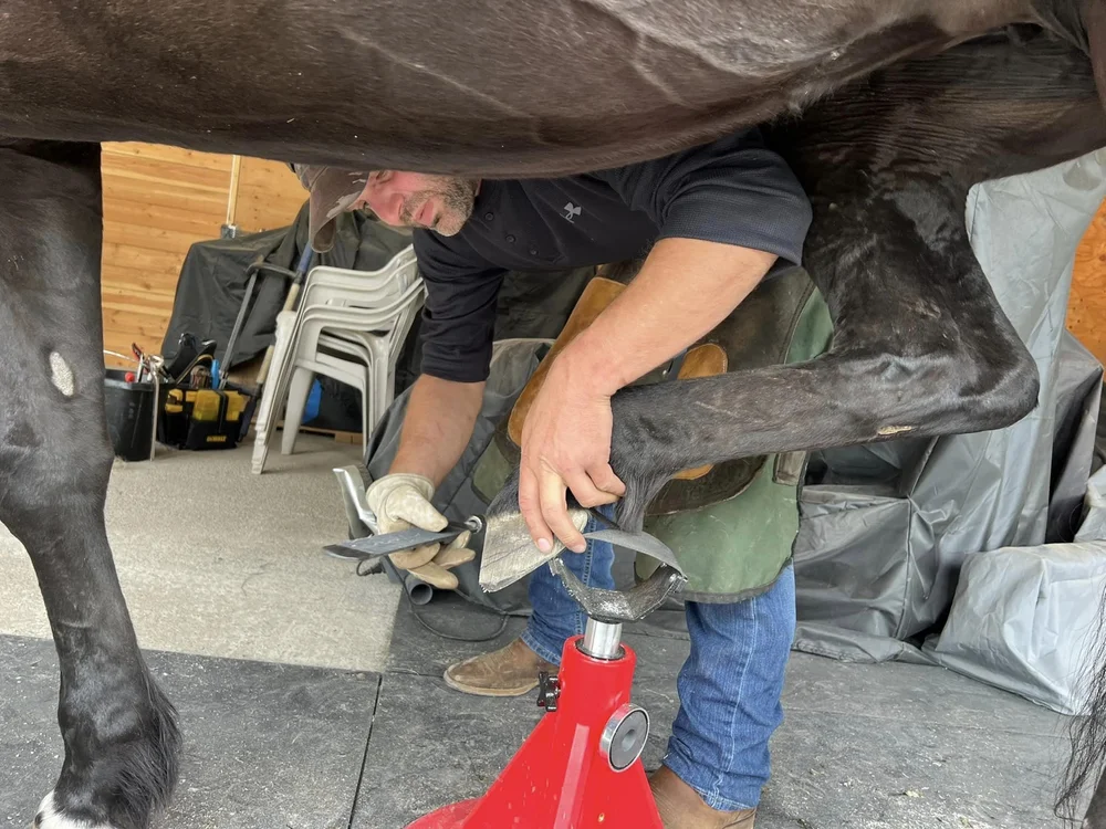 hoof-trimming-day-langley5-bc-hoof-geeks-clinic.jpeg