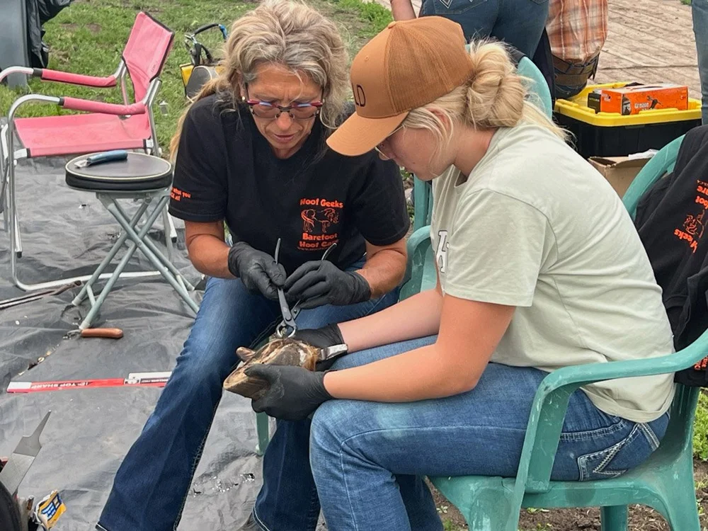 hoof-geeks-cadaver-day-teamwork-grande-prairie-alberta-2023.jpg
