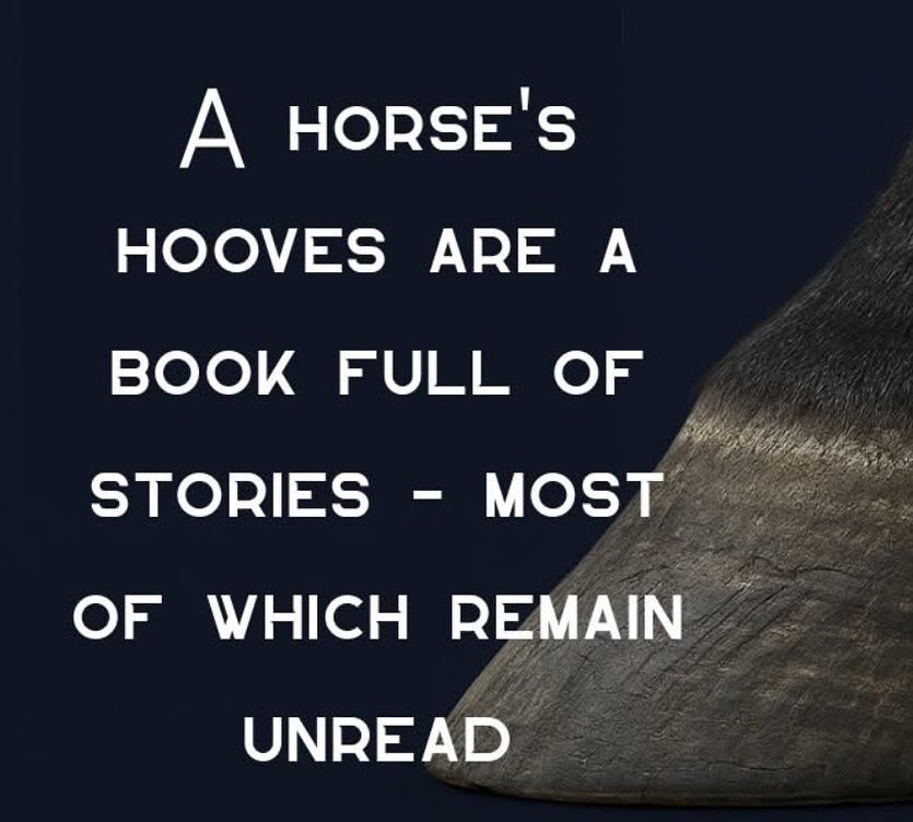 Saw this &mdash; loved this &mdash; had to share.

&ldquo;A horse&rsquo;s hooves are a book full of stories &mdash; most of which remain unread.&rdquo;

But not here.
Here, we read between the lines &mdash; bruises, rings, cracks, bars, heels. Every 