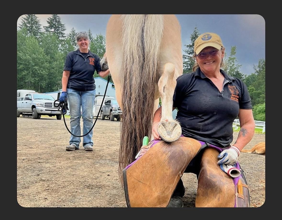 🌟 Your Voice Matters! 🌟

If you&rsquo;ve attended one of our clinics or events, your experience could inspire someone else to take the leap! 🐎

Testimonials help others see the real impact of what we do&mdash;from healthier hooves to happier horse