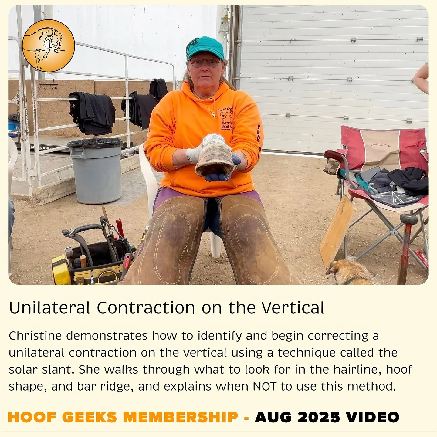 🚨 New video just dropped in the Hoof Geeks Membership! 🚨
Want to learn how to correct a contracted hoof using the solar slant? Christine walks you through what it is, when to use it&mdash;and when not to.

With 16 exclusive videos now available (an